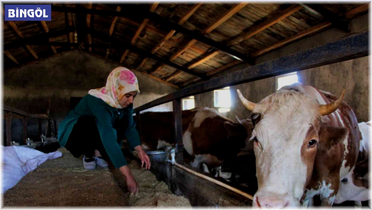 Üniversiteyi bitirdi, devletten aldığı destek ile genç yaşta besici oldu