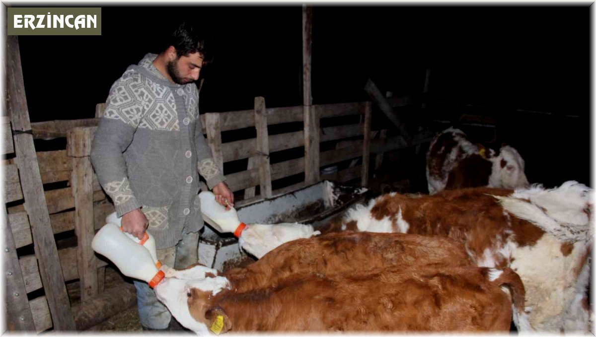 Üniversiteyi bitirip çiftçilik yaparak kendi işinin patronu oldu