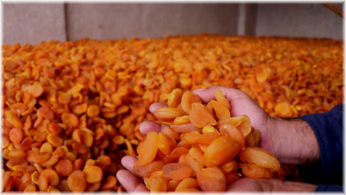 Ünü sınırları aştı, fiyatı rekor kırdı