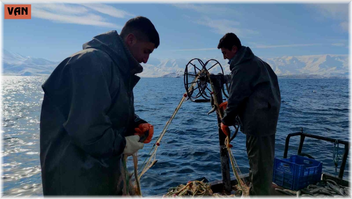 Üreme döneminde alınan tedbirler inci kefalinin çoğalmasını sağladı