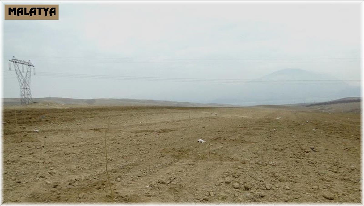 Üretime katkı için mera ve yaylaklar kiralanacak