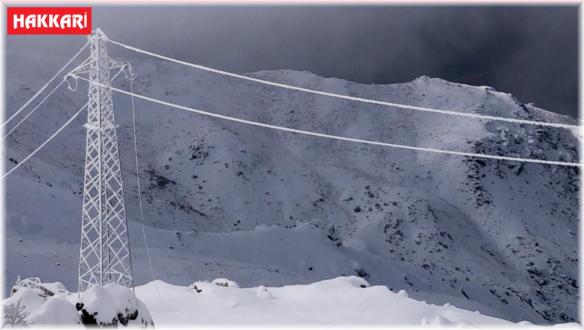 Üs bölgelerde elektrik direkleri buz tuttu