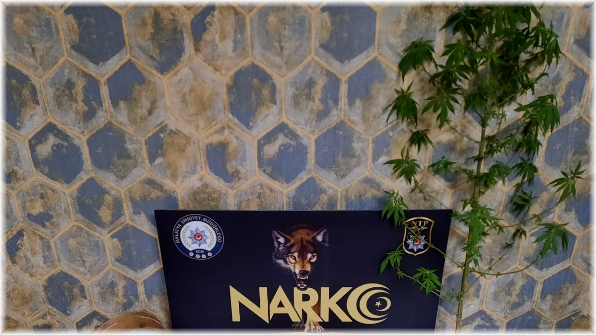 Uyuşturucu operasyonu: 9 gözaltı