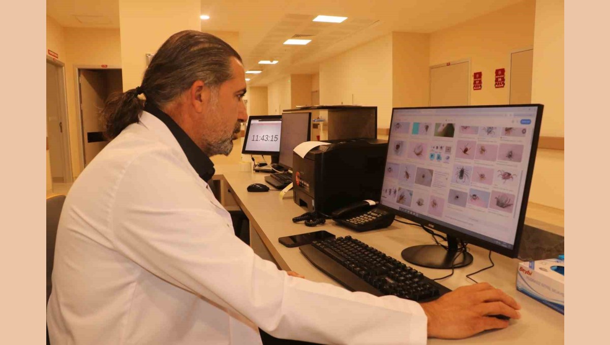 Uzmanından kene uyarısı; Kapalı giysileri tercih edin!