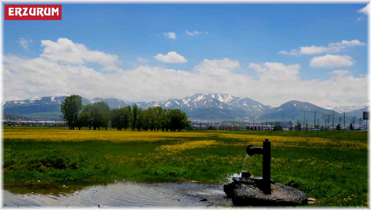 Uzmanlar: Su hayattır, israf etmeyelim