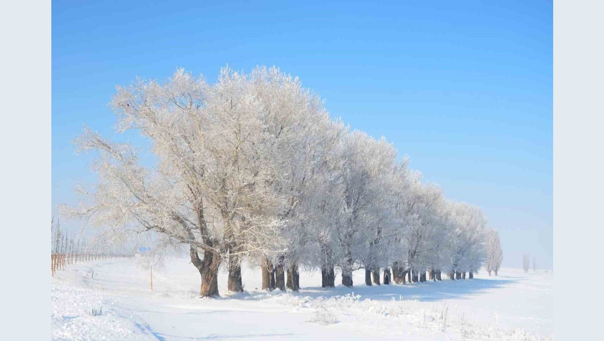 Uzmanlardan buzlanma, don ve çığ uyarısı