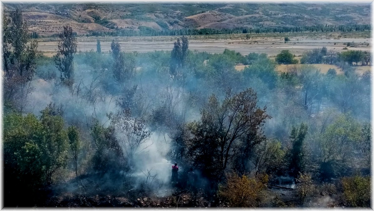 Üzümlü'de örtü yangını büyümeden söndürüldü