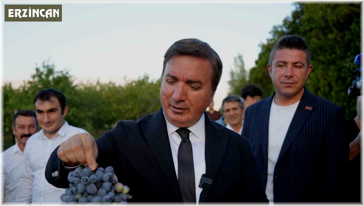 Üzümün başkenti Erzincan'da 5 yeni üzüm çeşidi tescil alıyor