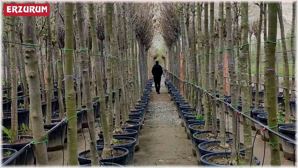 Uzundere'de büyük yatırım