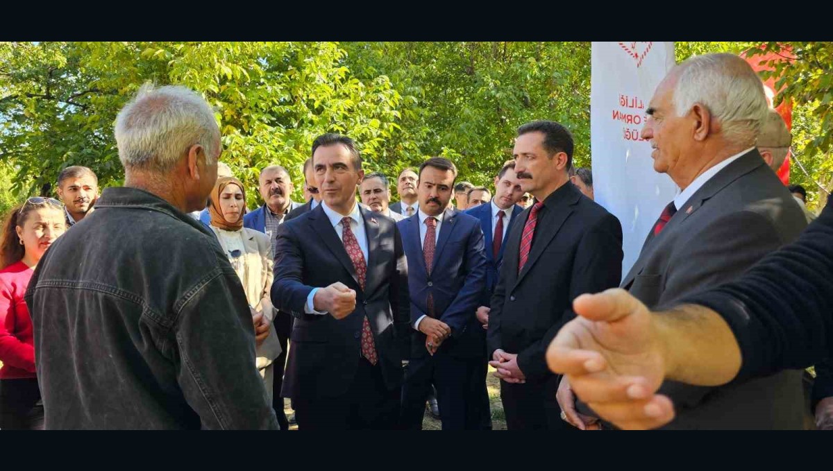 Vali Ahmet Karakaya ceviz hasadına katıldı