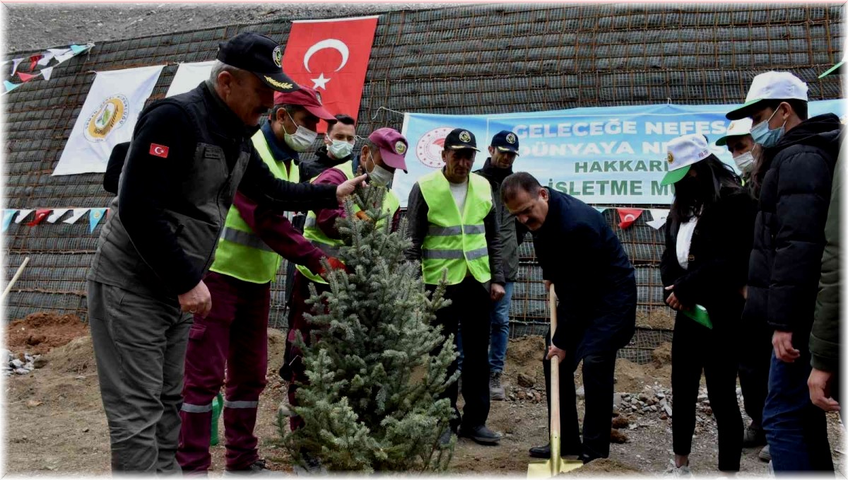 Vali Akbıyık: "Hakkari'de 87 bin fidan dikeceğiz"