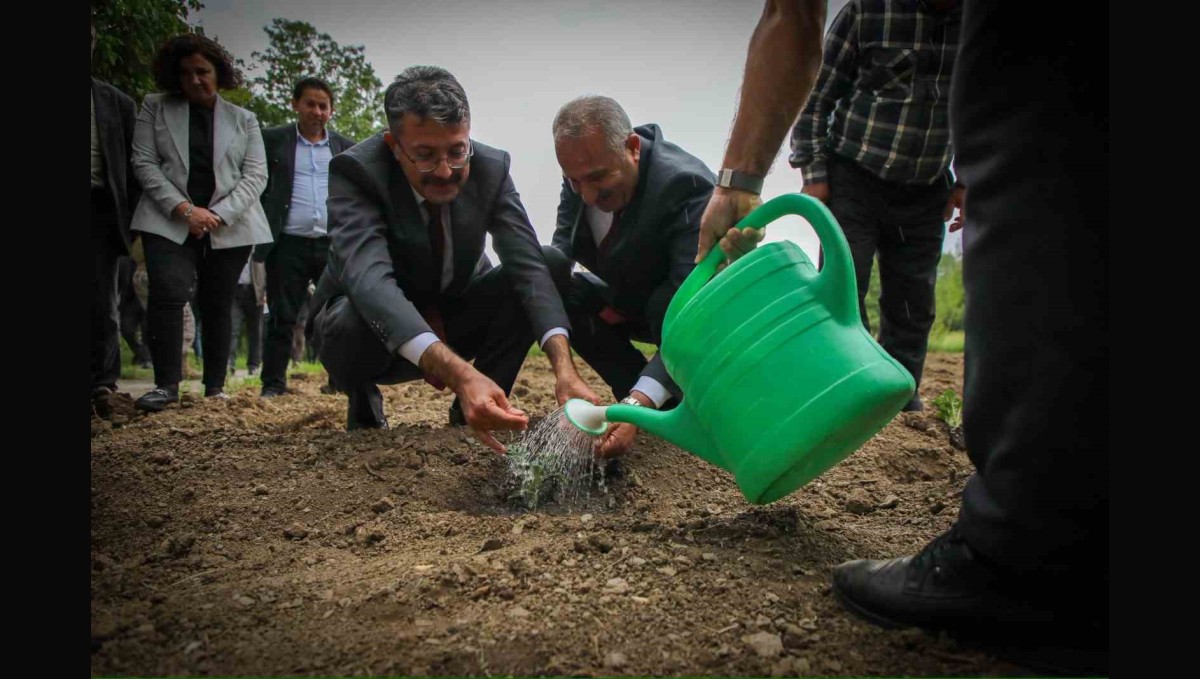 Vali Ali Çelik: "Bu toprakları birlikte yeşerteceğiz"