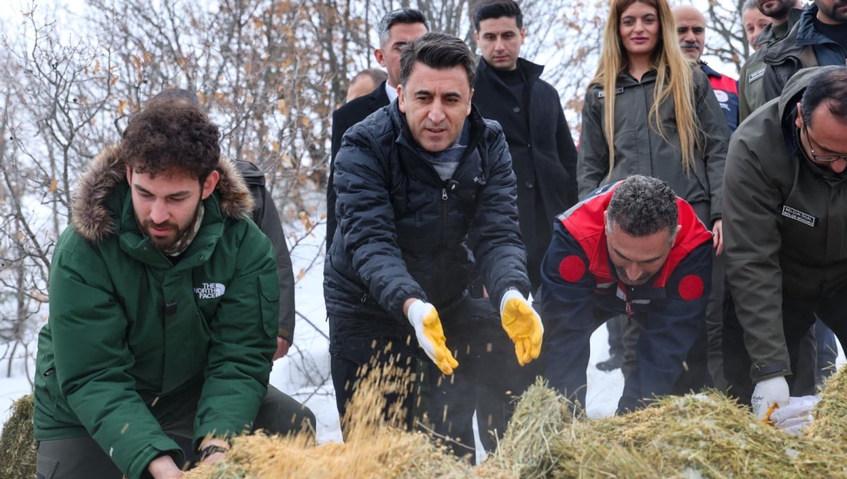Vali Aygöl, yaban hayvanları için sahada