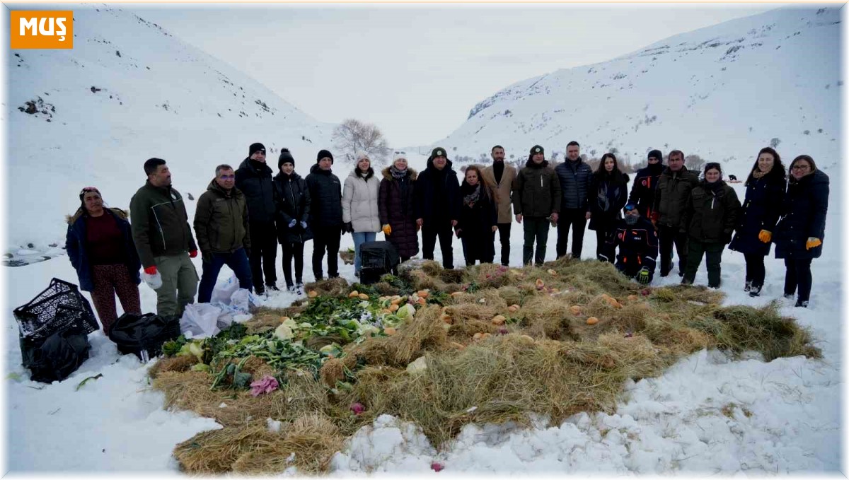 Vali Çakır, yaban hayvanları için karlı dağlara yem bıraktı