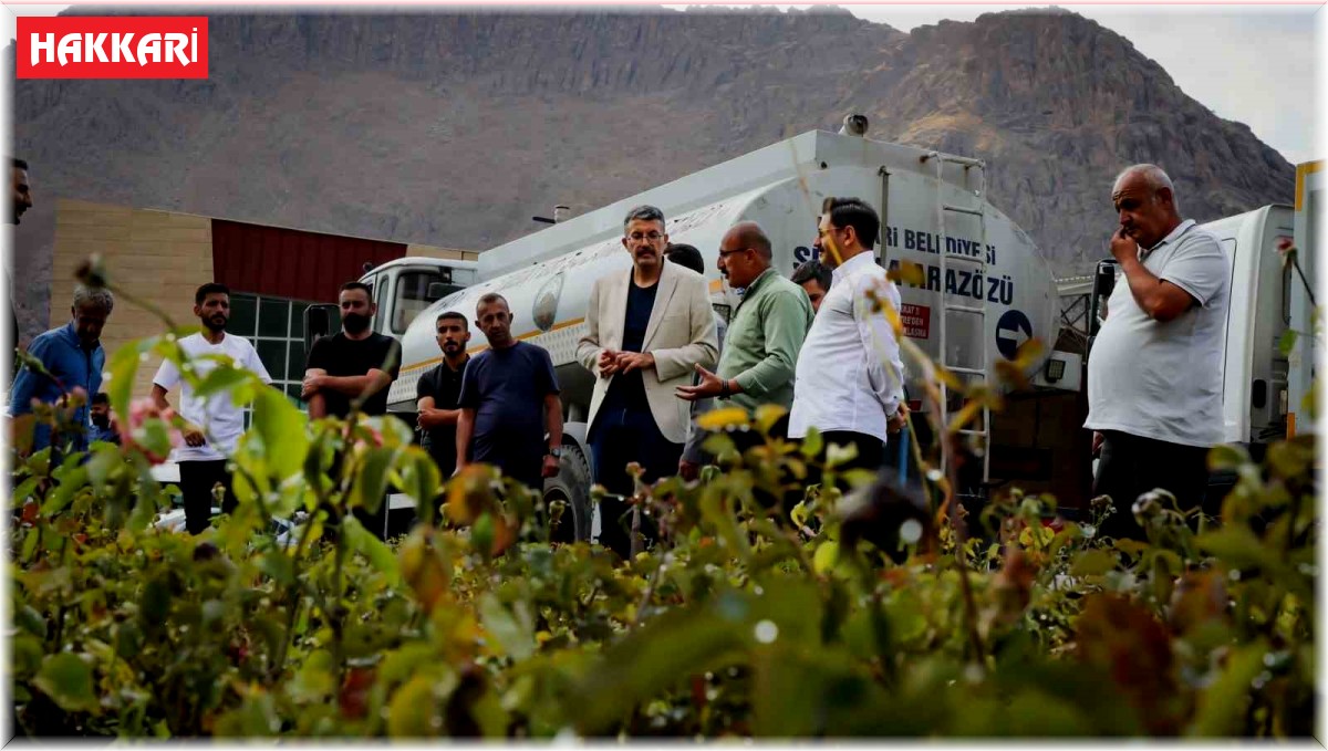 Vali Çelik: "Daha yeşil ve daha güzel Hakkari için çalışıyoruz"
