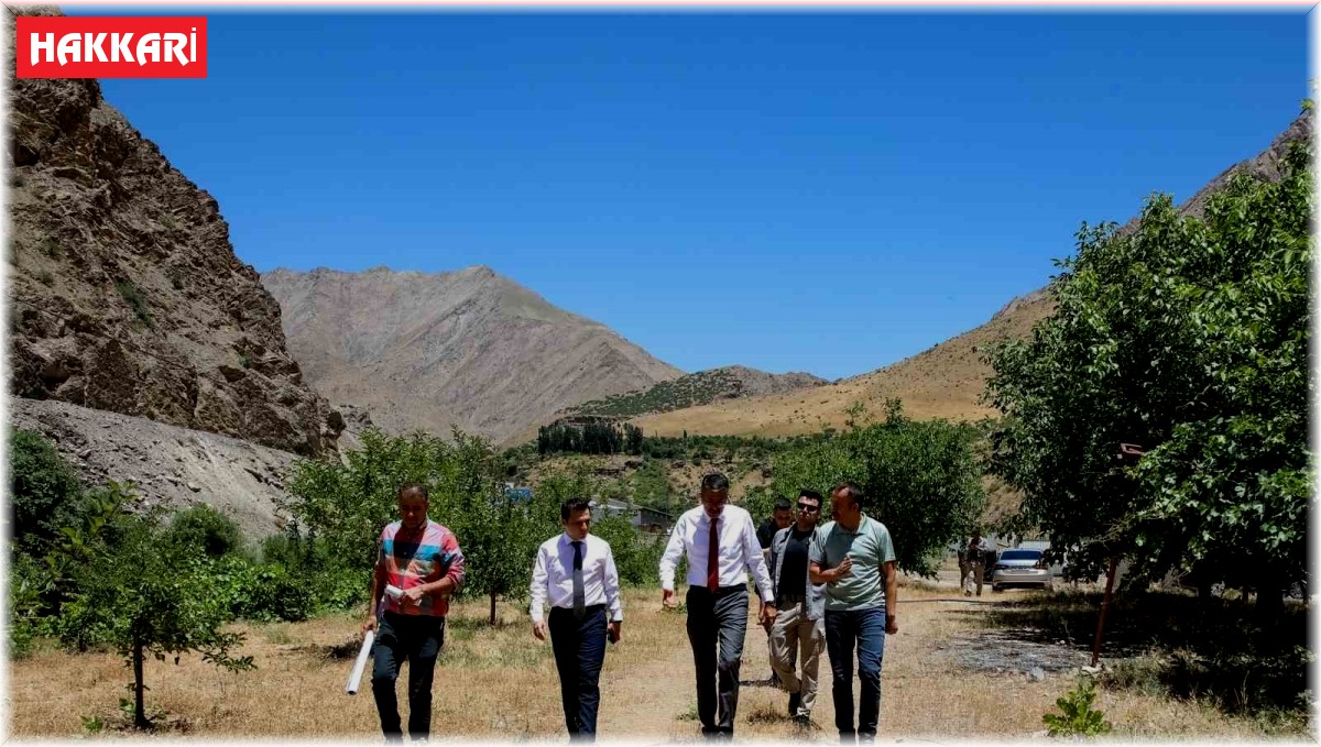 Vali Çelik, Depin bölgesi için harekete geçti