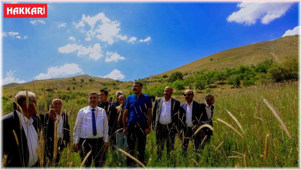 Vali Çelik sorunları yerinde dinliyor