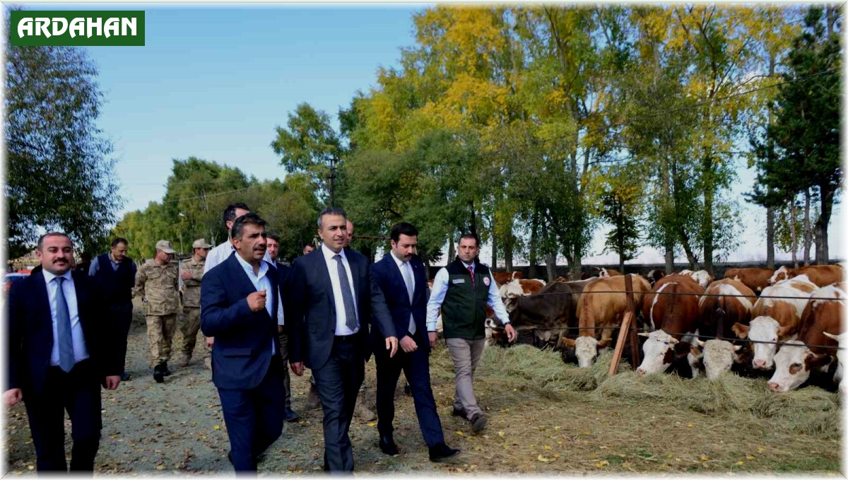 Vali Çiçek, Göle TİGEM'de incelemelerde bulundu