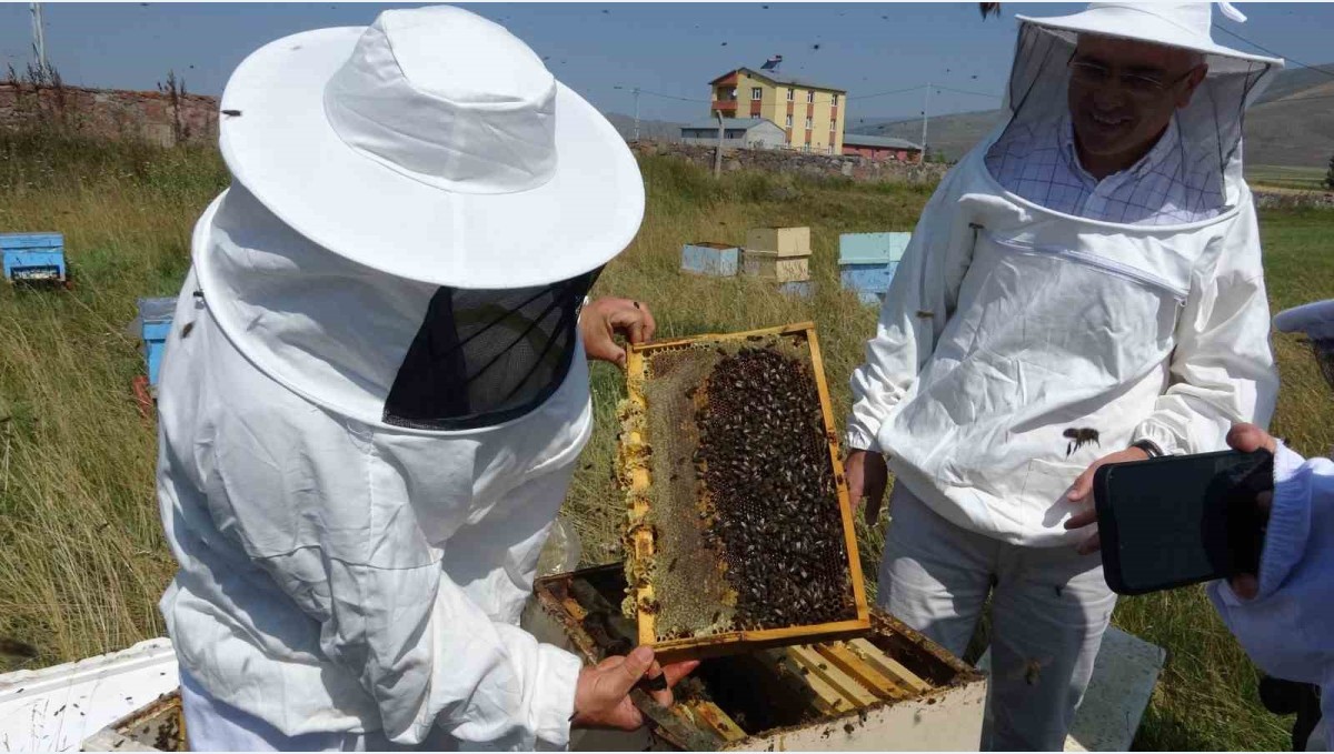 Vali Çiçek, ilk bal sağımını gerçekleştirdi