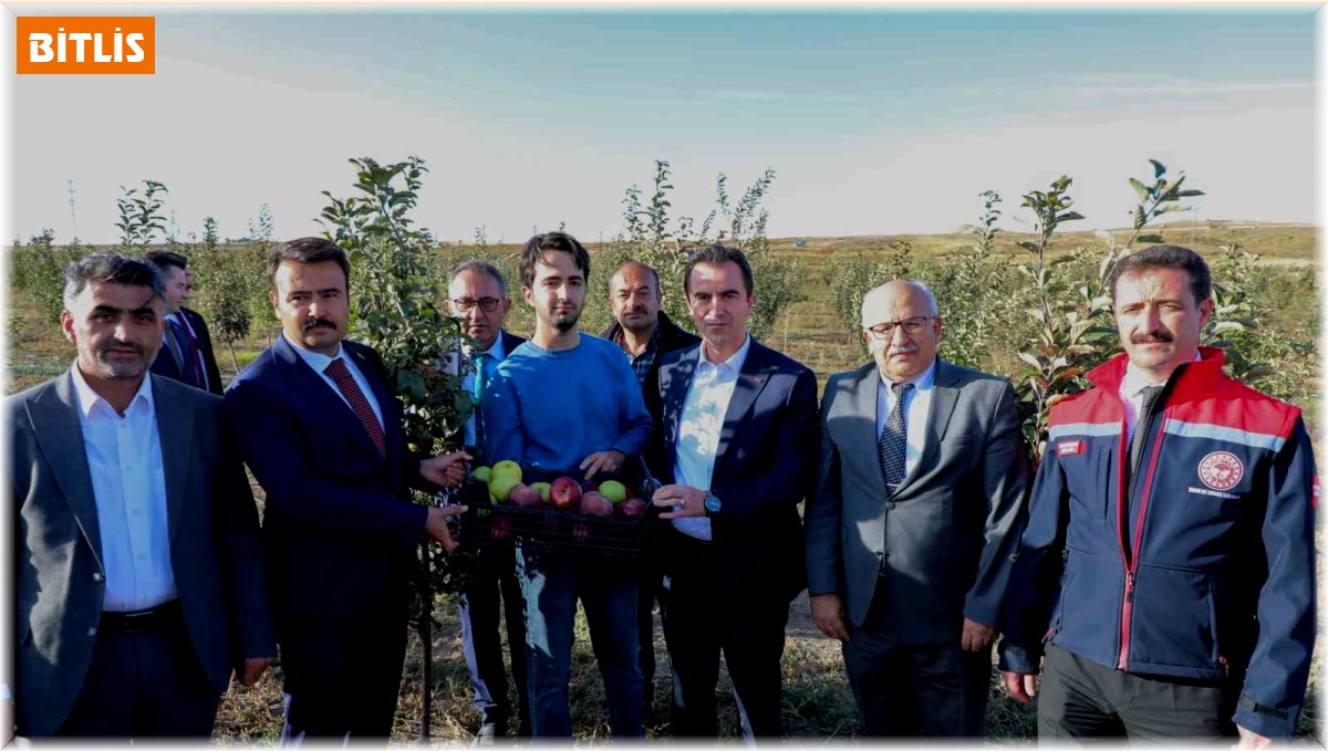 Vali Karakaya, Ahlat'ta elma bahçesini gezdi
