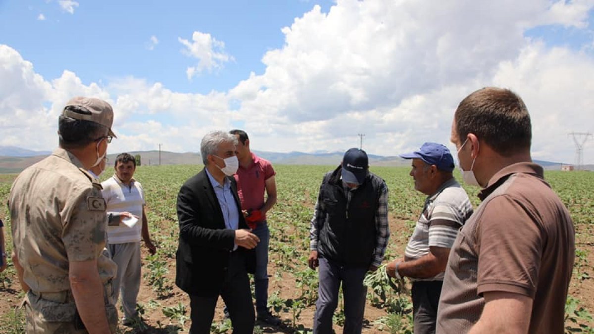 Vali Makas, çiftçileri tarlada ziyaret etti