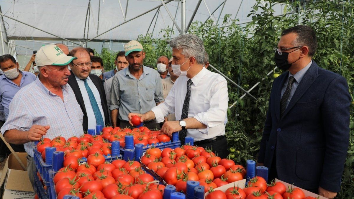 Vali Makas, seralarda incelemelerde bulundu