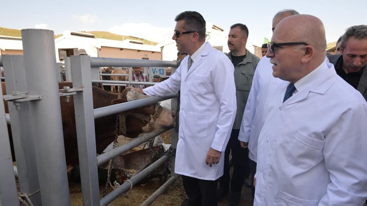 Vali Memiş ve Başkan Sekmen "Avrupa'nın en büyük canlı hayvan pazarında" incelemelerde bulundu