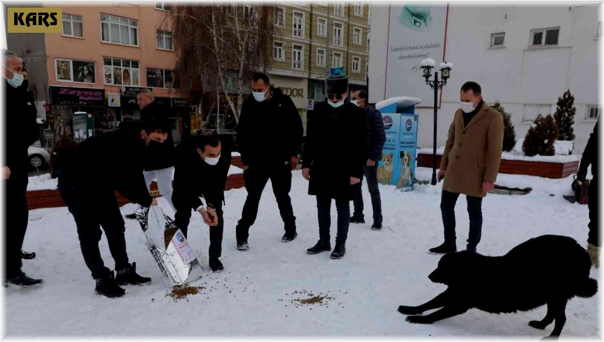 Vali Öksüz, sokak hayvanlarına yiyecek verdi