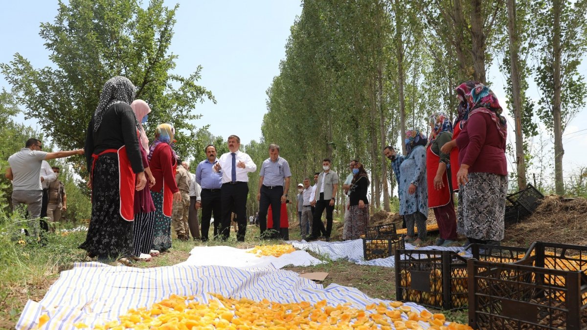 Vali Sarıibrahim kuru kayısı üretim yerini ziyaret etti