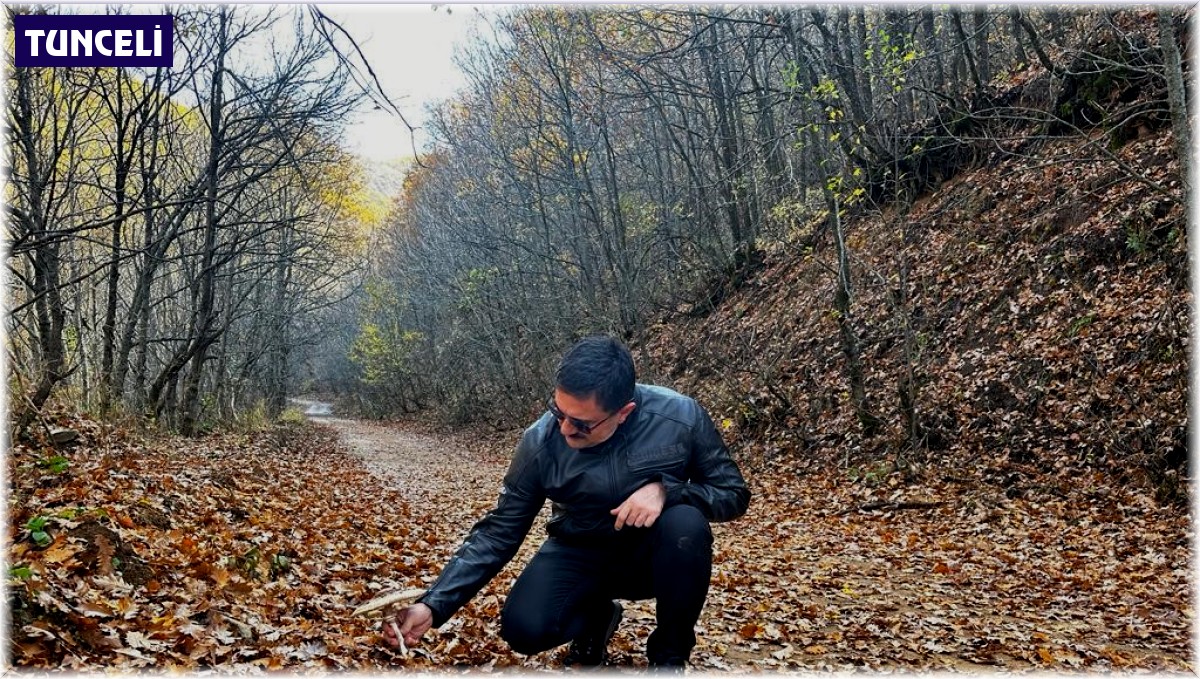 Vali Tekbıyıkoğlu, sonbahar güzelliğine bürünen Salördek'i ziyaret etti