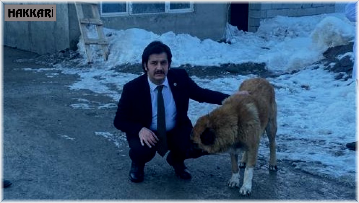 Vali Yardımcısı Kasımoğlu, şiddet gören iki köpeği sahiplendi