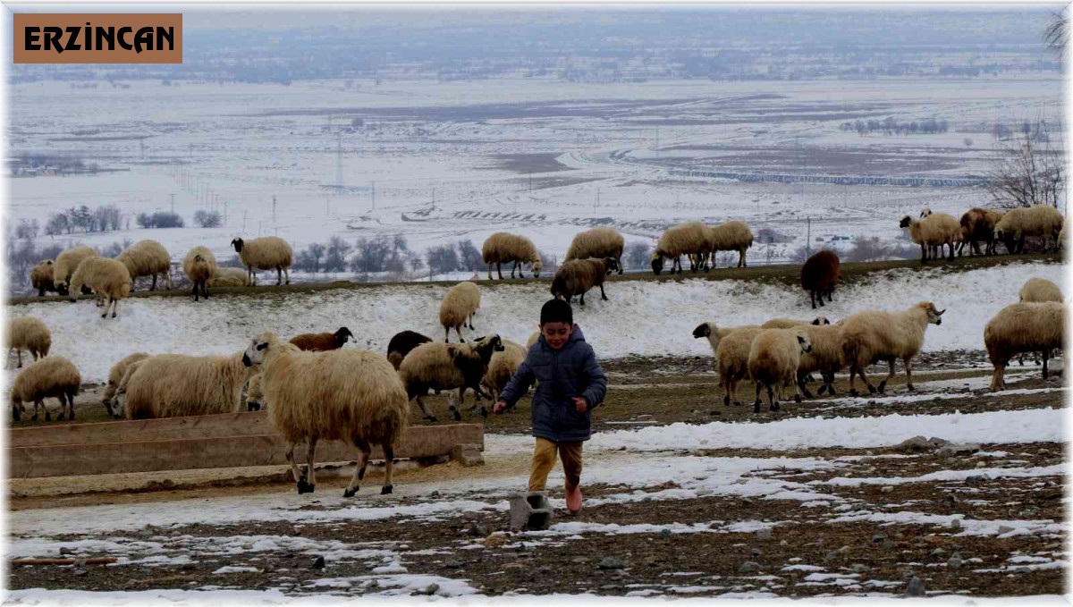Valilik'ten yayla ve mera kullanımı genelgesi