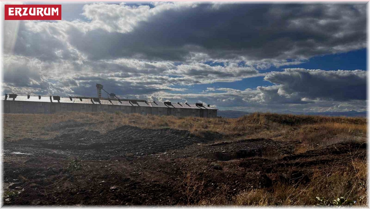 Valilikten tavuk ve güvercin kümesi açıklaması