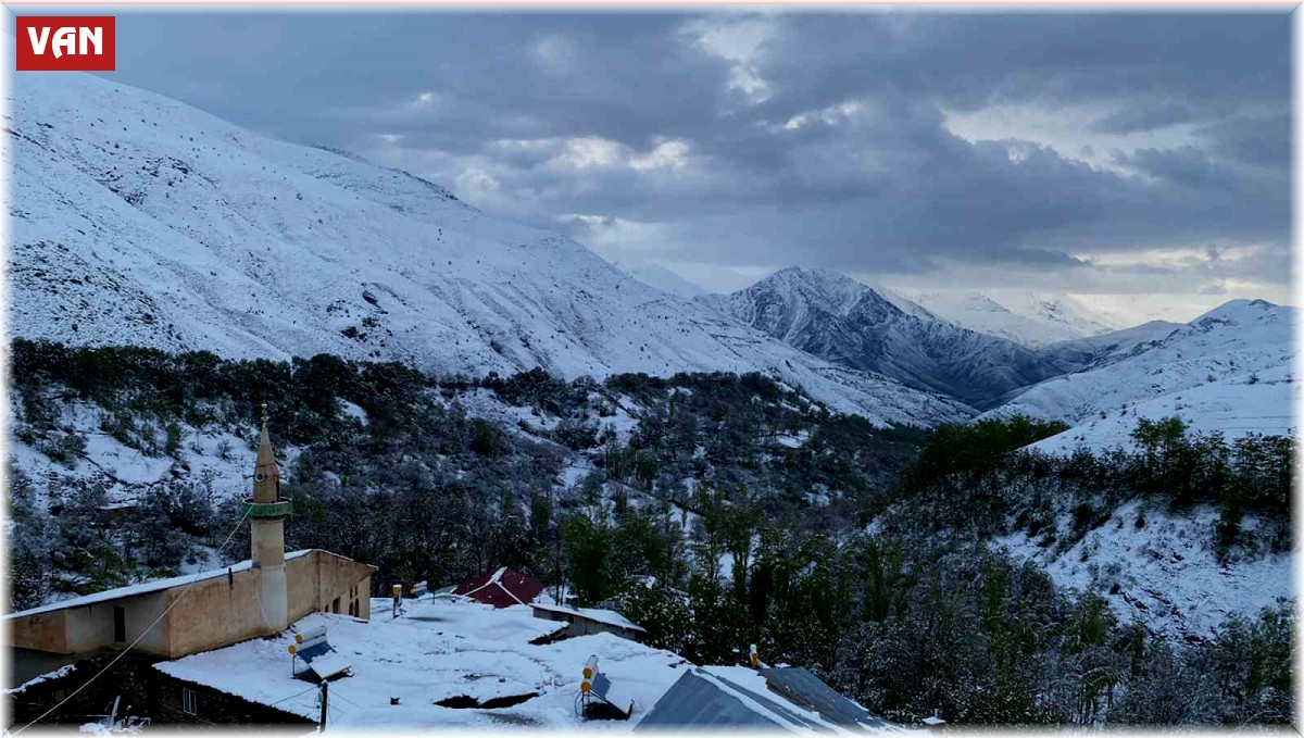 Van'a mayıs ayında lapa lapa kar yağdı