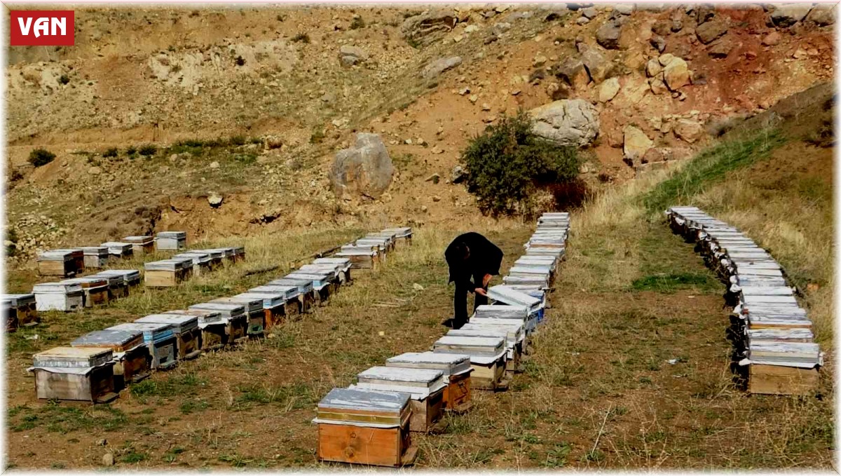 Van Arıcılar Birliği Yönetim Kurulu Üyesi Tandoğan: "Van balı, kesinlikle hak ettiği yerde değildir"
