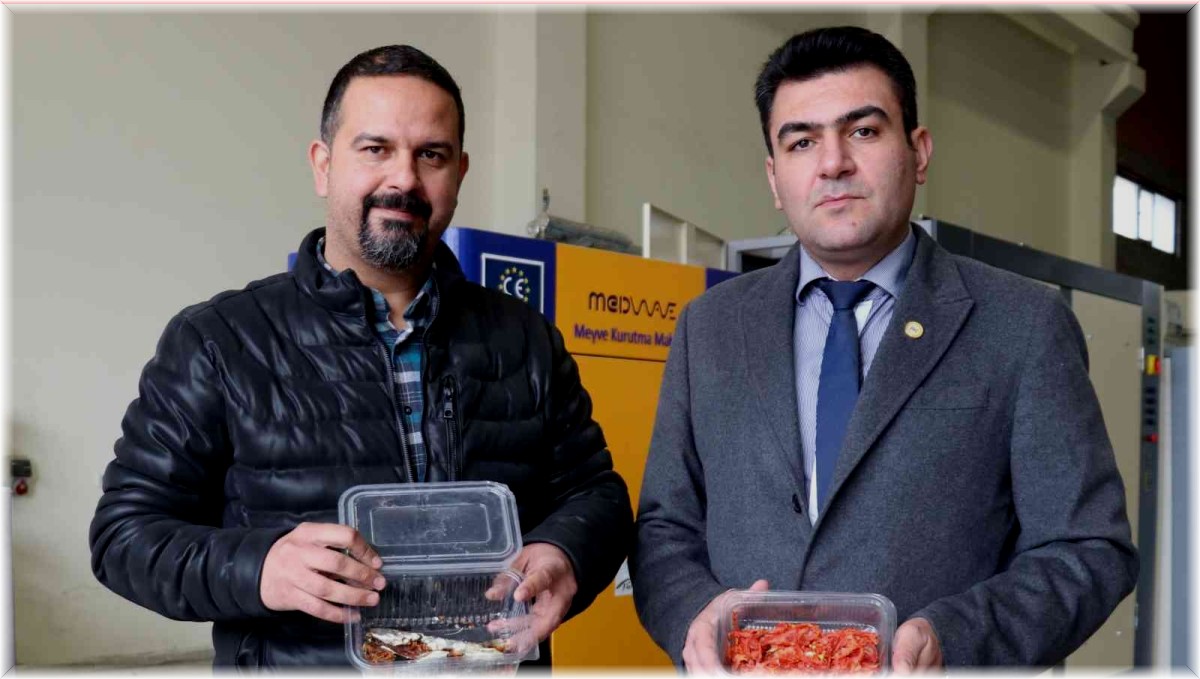 Van balığı elektromanyetik dalgalarla çalışan makinelerde kurutuluyor