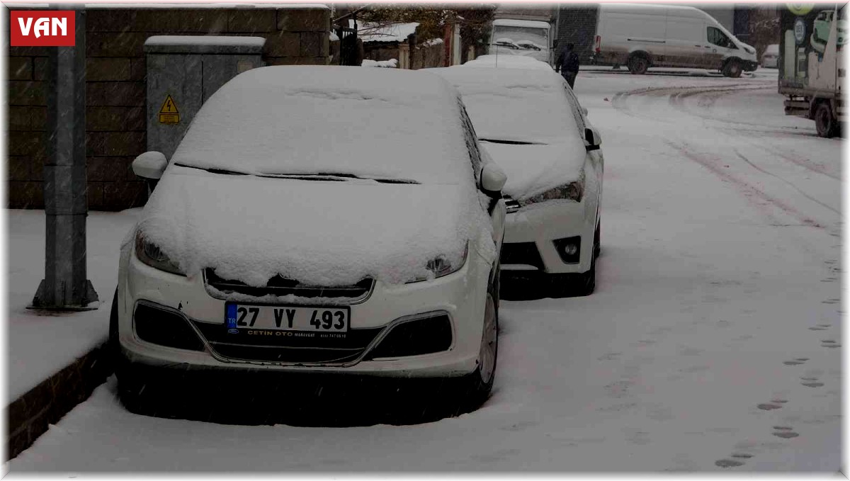 Van beyaza büründü