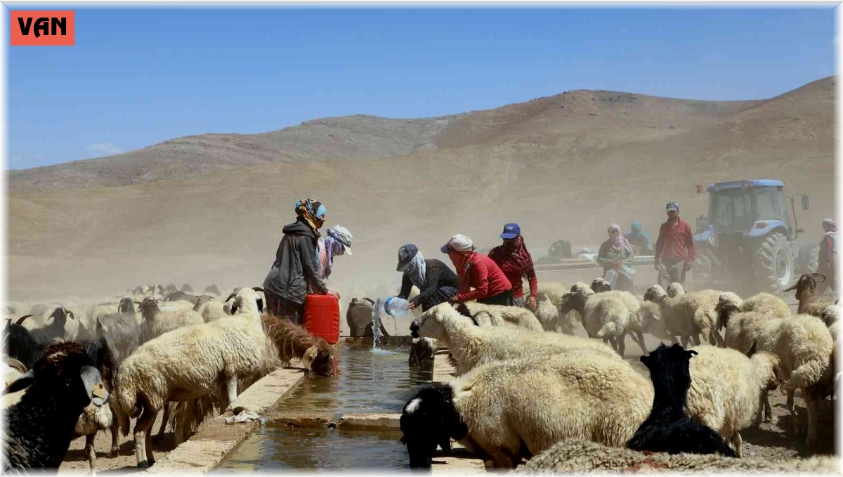 Van Büyükşehir Belediyesi bir yılda kırsal kalkınmaya 40 milyon lira harcadı