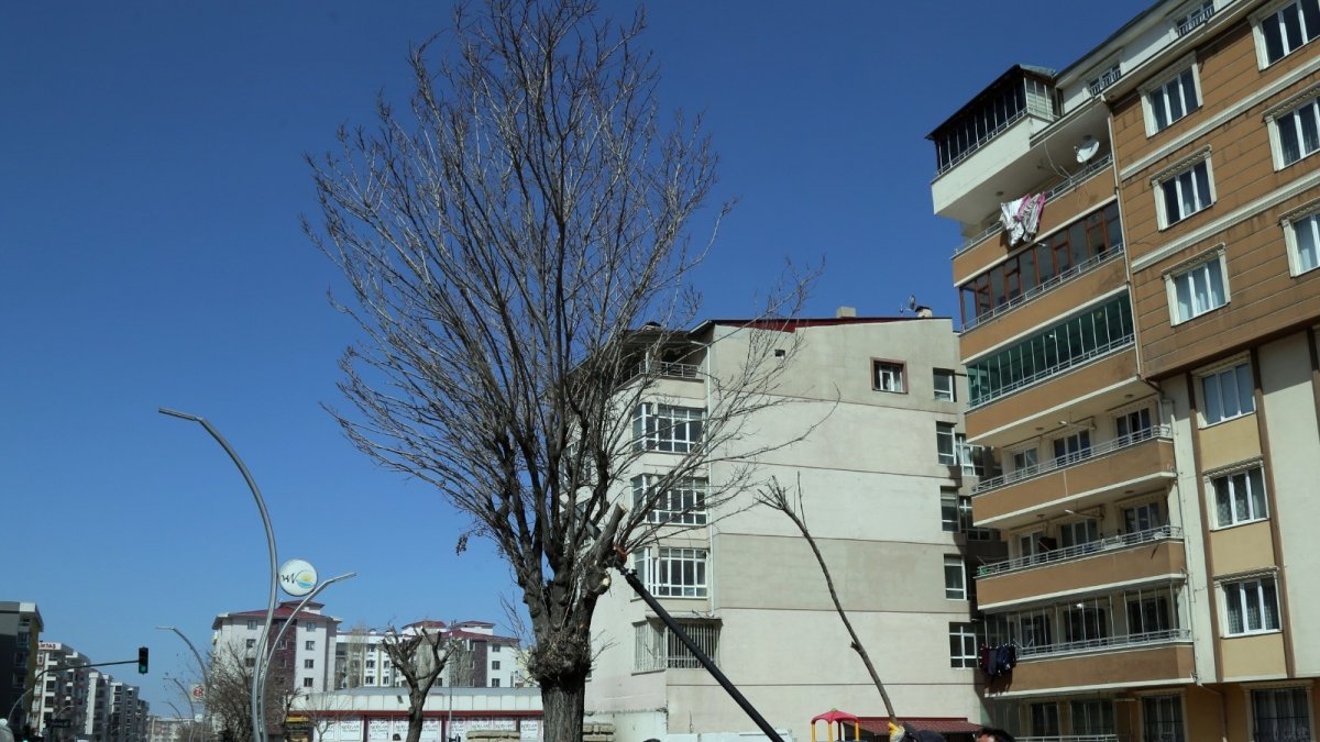 Van Büyükşehir Belediyesinden ağaç budama çalışması