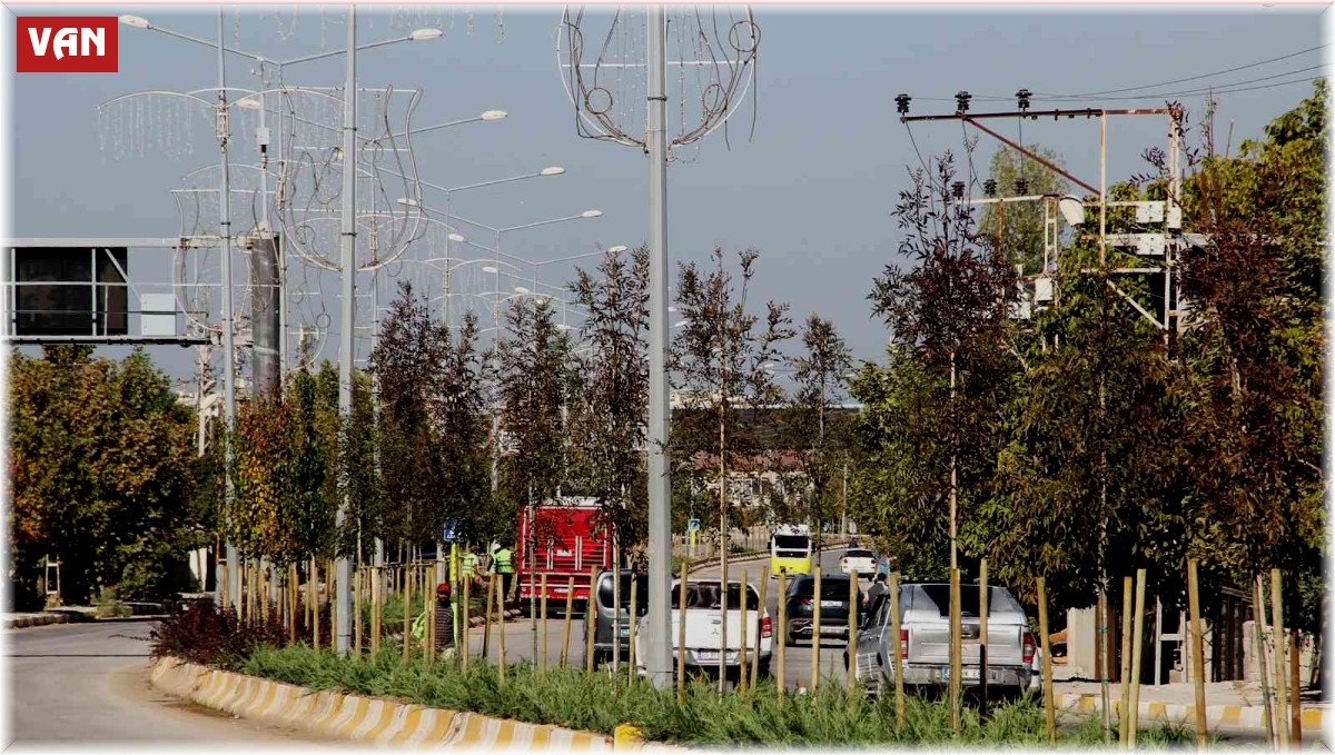 Van Büyükşehir Belediyesinden ağaç dikimi