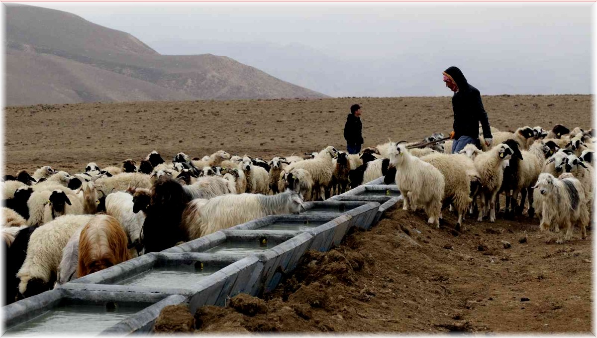 Van Büyükşehir Belediyesinden Başkaleli çiftçilere can suyu