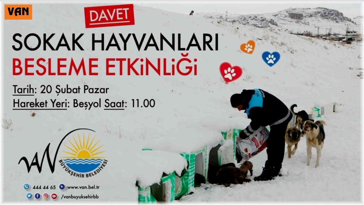 Van Büyükşehir Belediyesinden sokak hayvanları için beslenme etkinliği