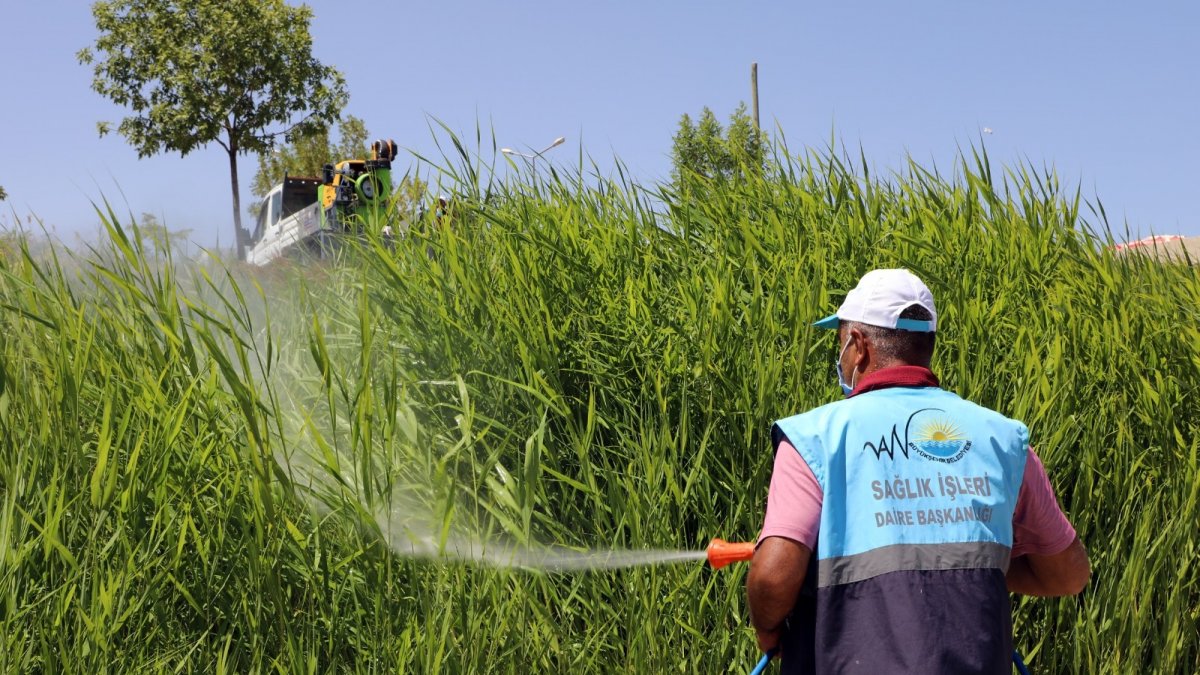 Van Büyükşehir Belediyesinin erken tedbiri sinek popülasyonunu azalttı