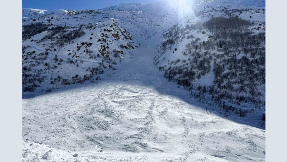 Van-Çatak yolu çığ düşmeleri nedeniyle 4 gündür ulaşıma kapalı
