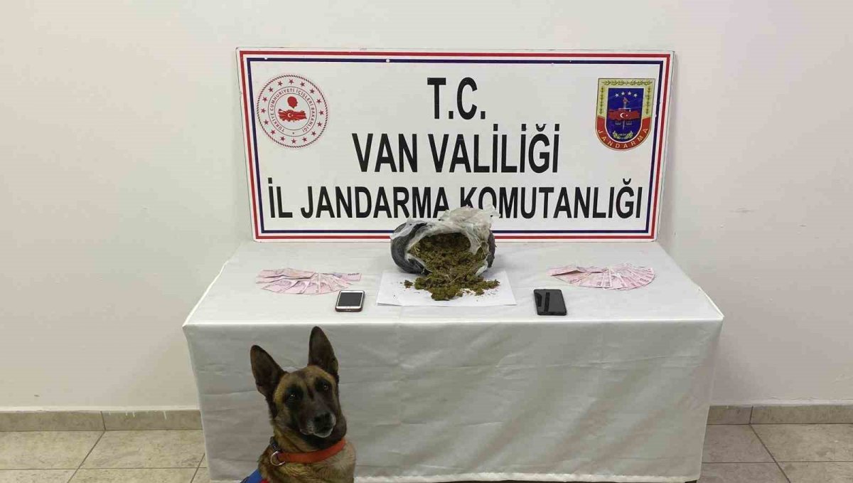 Van'da 1 kilo 64 gram skunk maddesi ele geçirildi