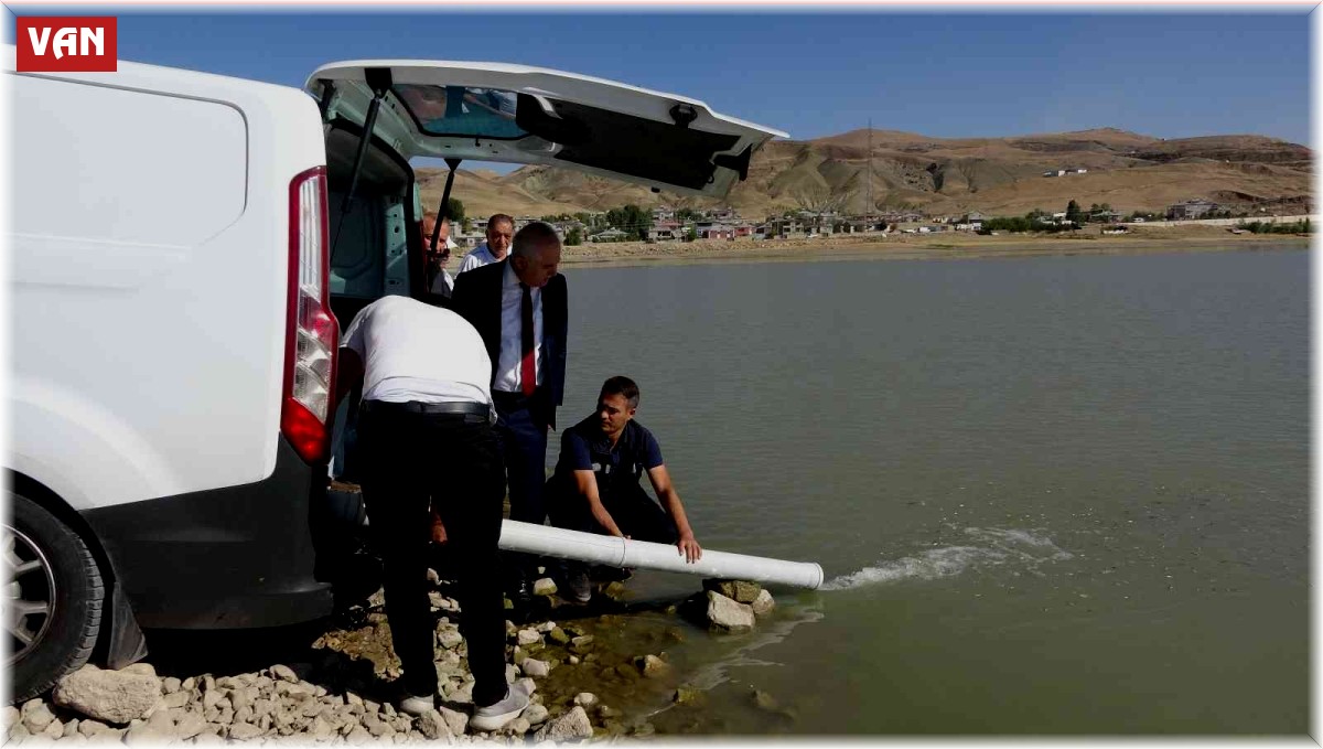 Van'da 1 milyon balık göllere bırakıldı