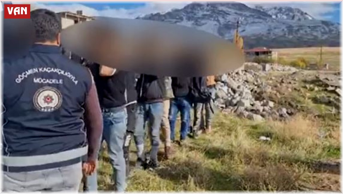 Van'da 1 organizatör tutuklandı