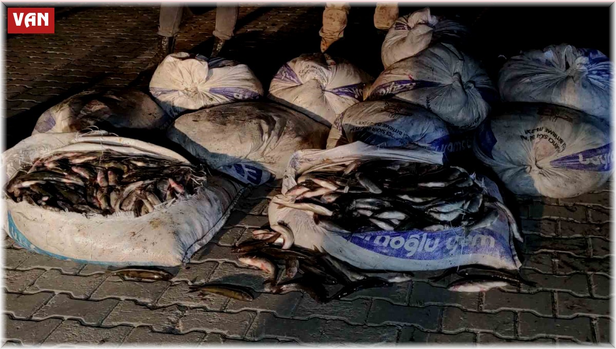 Van'da 1 ton 800 kilo kaçak avlanılan inci kefali ele geçirildi