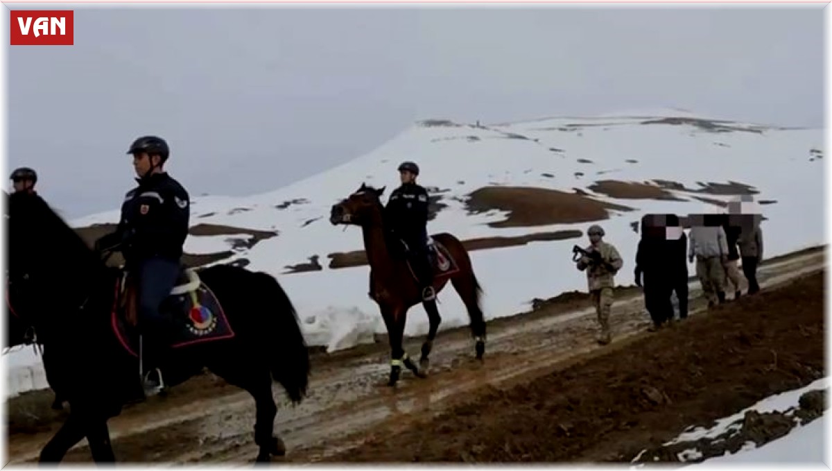 Van'da 199 düzensiz göçmen yakalandı