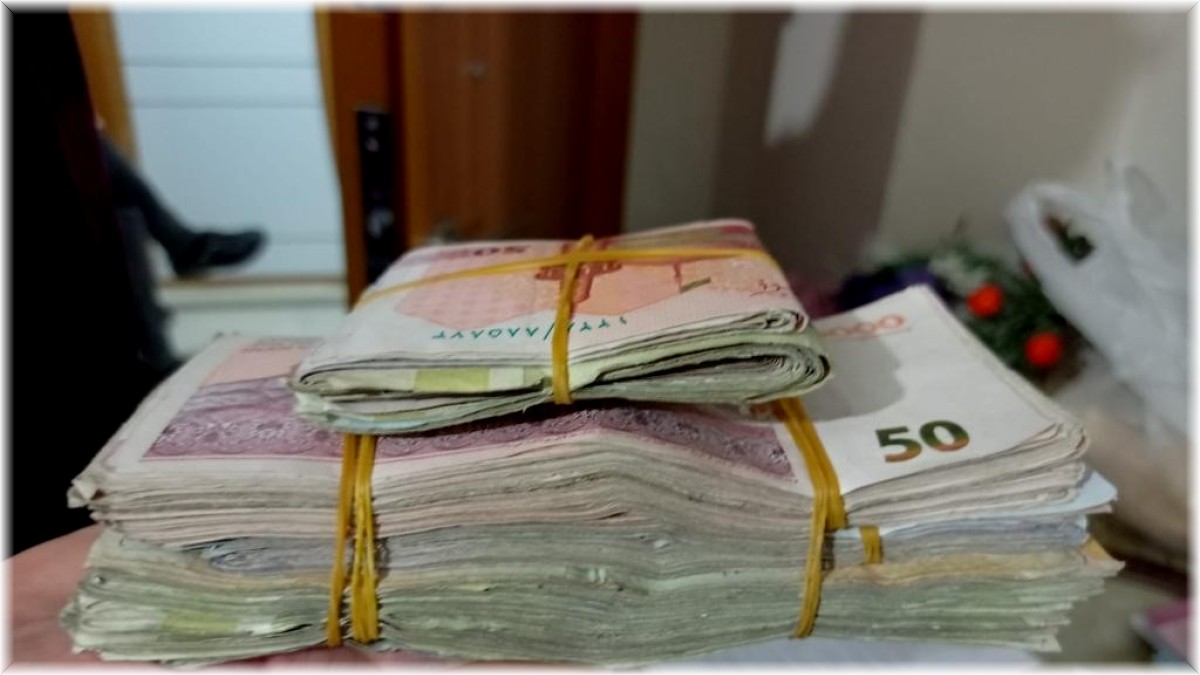 Van'da 2 Afganistan uyruklu organizatör yakalandı